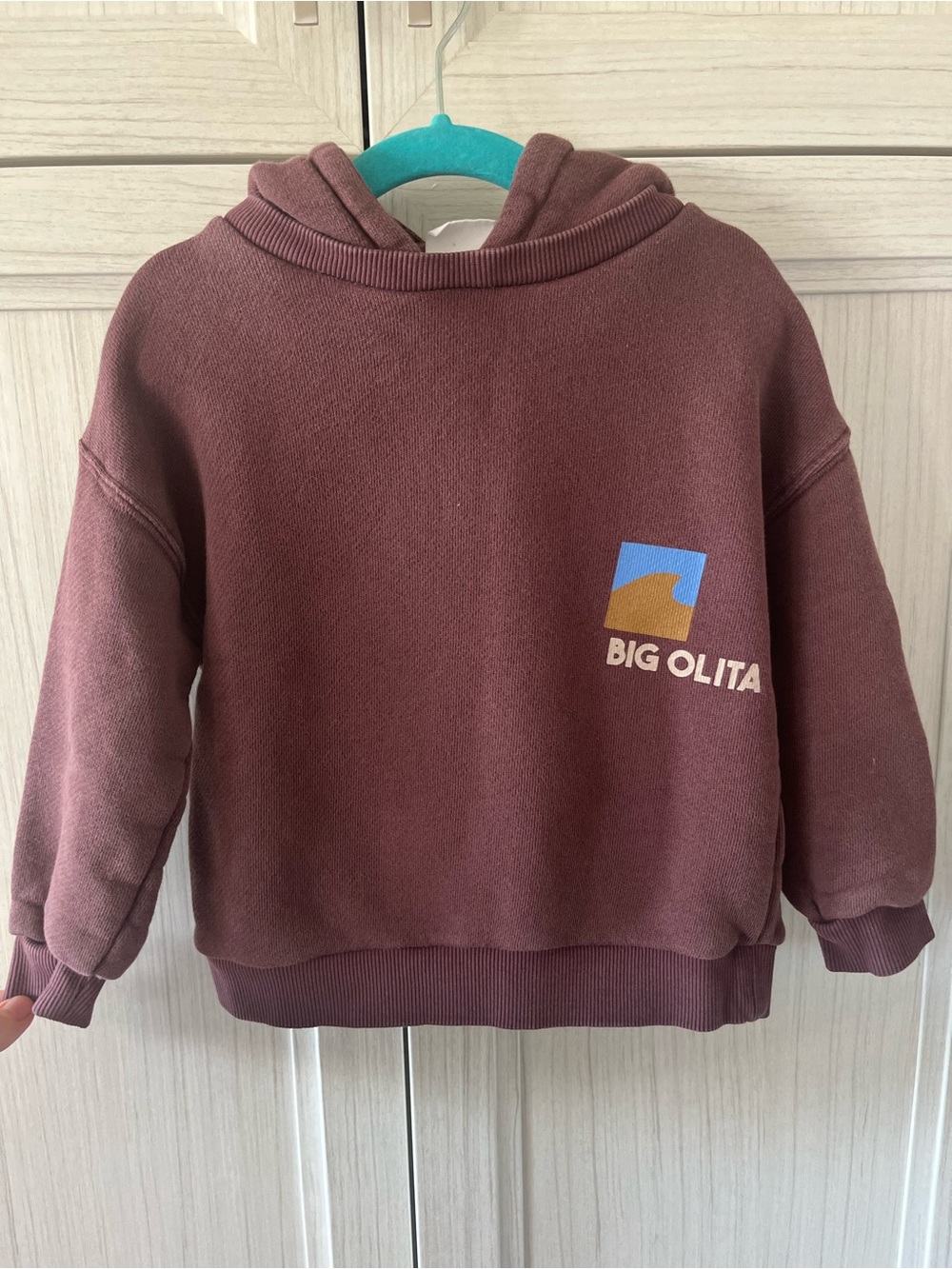 Zara Big Olita Hoodie